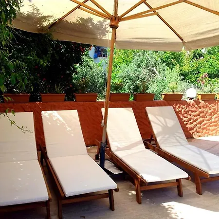 Yonca Fethiye